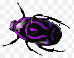 Dung Beetle Png Image Png Mart Emoji,Purple Bug Emoji
