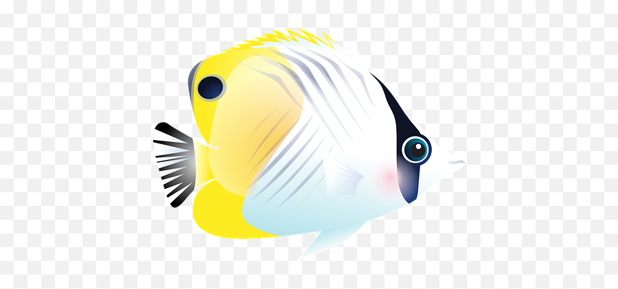 1000 Free Fishing U0026 Fish Vectors - Pixabay Coral Reef Fish Emoji,Boy Fishing Pole Fish Emoji