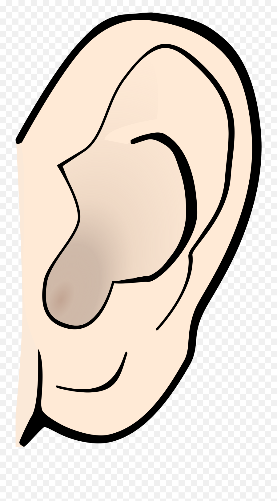 Listening Ear Clipart - Clip Art Ear Png Download Full Big Ear Clipart Emoji,Emoji Earmuffs