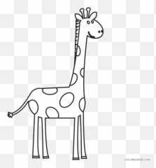 Black And White Giraffe Coloring Pages Giraffe Head Black - Black And White Clipart Giraffe Emoji,Giraffe Emoji