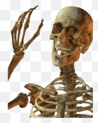 Skeleton Face - 14026 Transparentpng Skeleton Png Emoji,Skull Face Emoji