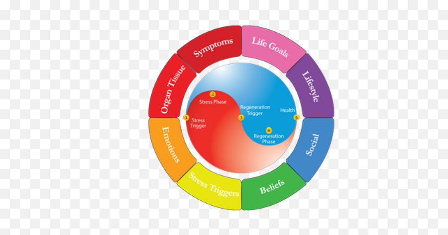 The Life Tapestry Thelifetapestry U2013 Profile Pinterest - Vertical Emoji,Organ Emotions Anxiety