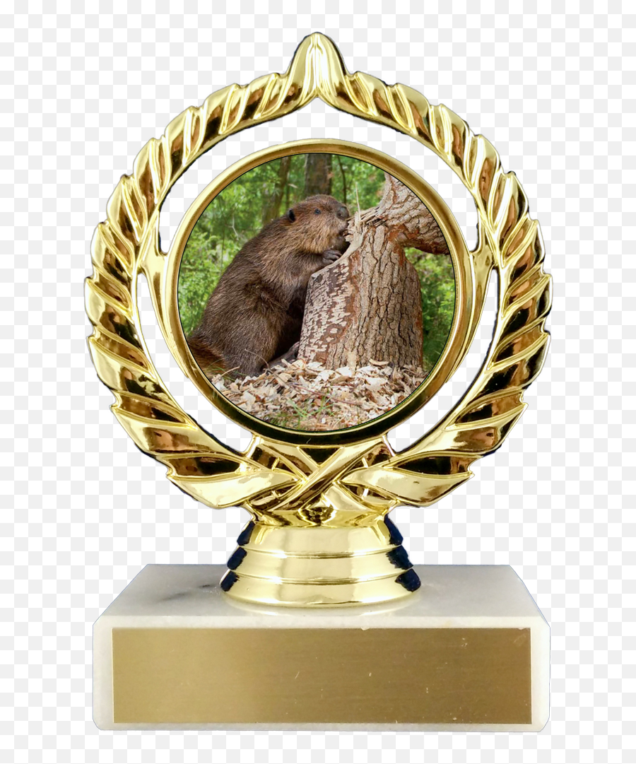 Beaver Logo Trophy On Flat White Marble Emoji,Ground Hog Woodchuck Emojis