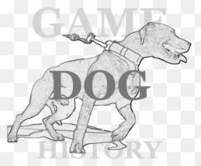 Old Mountain Man - Lester Hughes Grandchamp American Emoji,Pitbulls Read Emotion