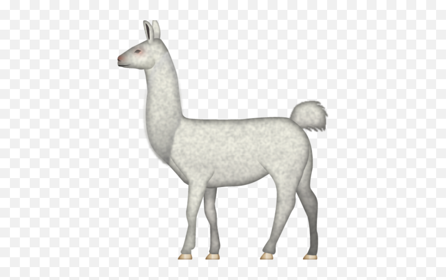 We Should Introduce The Llama Emoji - New Llama Emoji,Llama Emoji