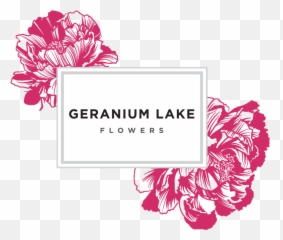 About Geranium Lake Flowers And Events - Geranium Lake Flowers Emoji,Emotion Code For Geranium