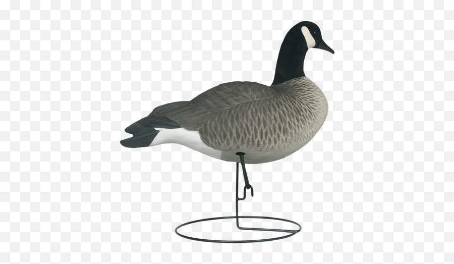 Rugged Series Full Body Canada Goose Decoys - Flocked Head Canada Goose Emoji,Canadian Goose Emoticon