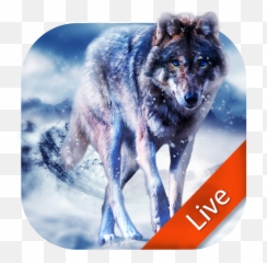 Blue Wolf Live Wallpaper 3d On Google Play Reviews Stats - Live Wallpaper Wolf Emoji,Emoji Moving Wallpaper