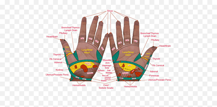 Fingers Hands Touching Feeling - Sensory Receptors In Hand Emoji,Quotations On Emotion