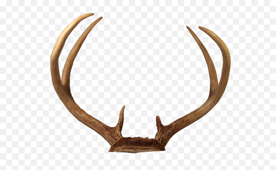 Free Reindeer Antlers - Transparent Deer Antlers Png Emoji,Antler Emoji