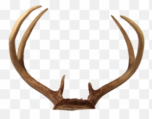 Free Reindeer Antlers - Transparent Deer Antlers Png Emoji,Antler Emoji