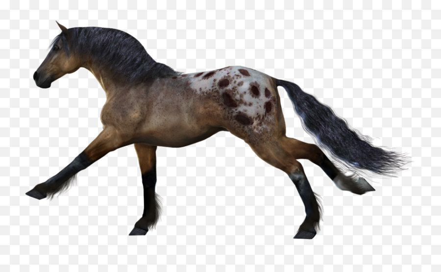 900x655 - Horse With See Through Background Emoji,Horse Emoji Transparent