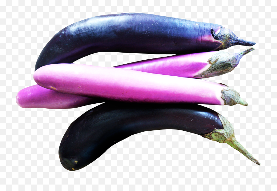 This Png File Is About Brinjal Eggplant Vegetables - Eggplant Emoji,Purple Vegetables Emoji