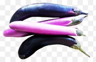 This Png File Is About Brinjal Eggplant Vegetables - Eggplant Emoji,Purple Vegetables Emoji