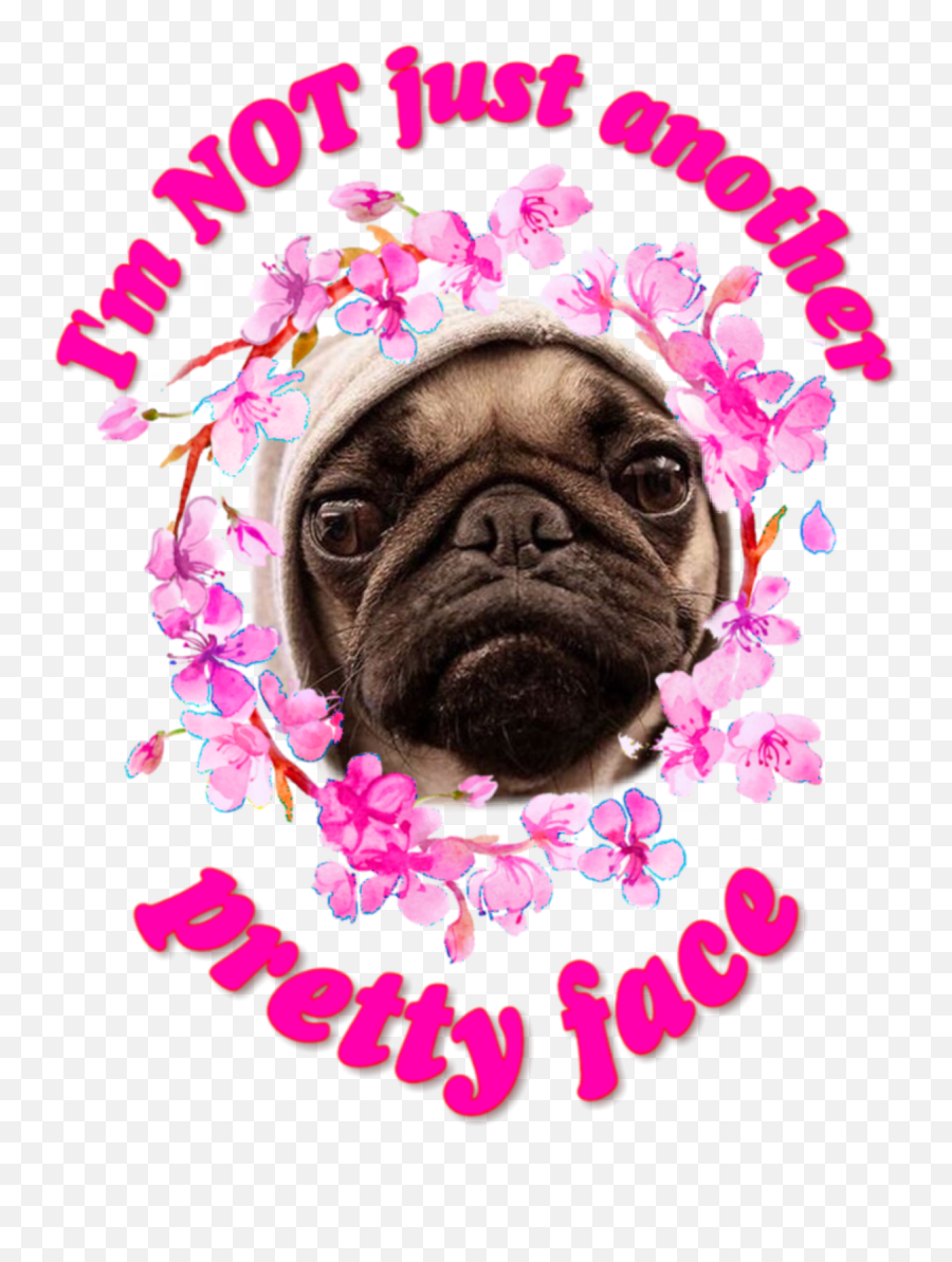 Words Nope No Noway Sticker - Pug Life Emoji,No Words For Emotions