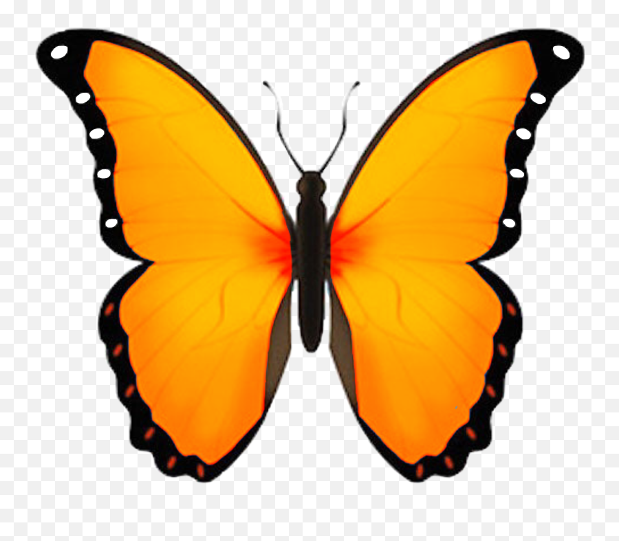 Butterfly Emoji Orange Mornach Sticker - Butterfly Emoji,Butterfly Emoji Png