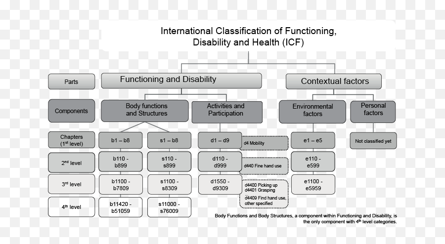 International classification of functioning, Disability and Health. International classification. Классификация ICF. ICRS классификация. Levels of functioning