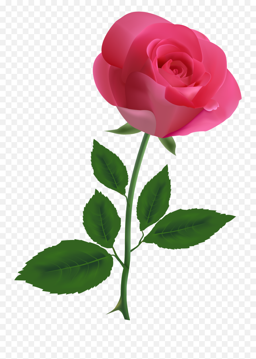 Best Gulab Wallpapers Gulab Wallpapers Free Download - Rose Pink Flower Clipart Emoji,Rose Emoticon Desktop Wallpaper