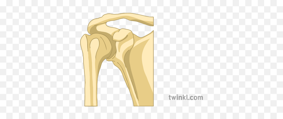 Ball U0026 Socket Joint Kci3d Tinkercad 2345863 - Png Images Ball And Socker Joint Emoji,Tinkercad Emojis