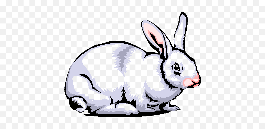 Rabbits Graphic Animated Gif - Graphics Rabbits 671832 Clipart Image Of Rabbit Emoji,Rabbit Emoticons Gif