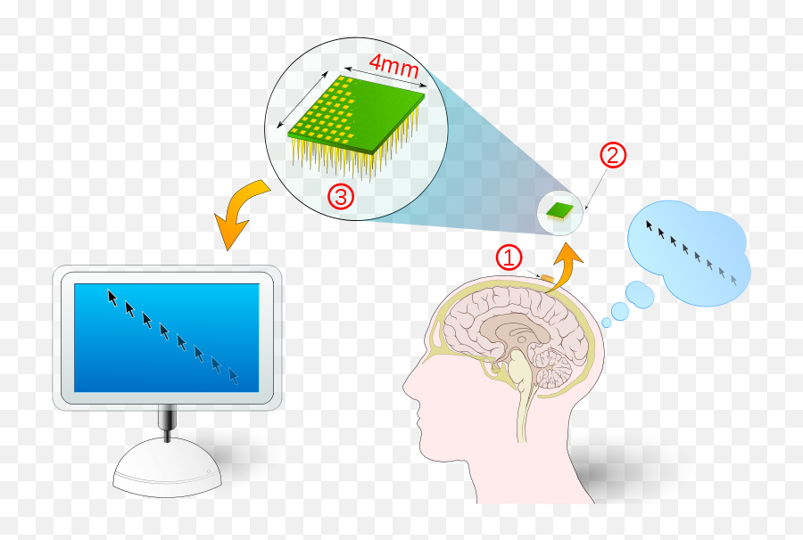 Vveku0027s Pedia 2012 - Brain Computer Interface Png Emoji,Seven Of Nine Emotion Cortical Implant