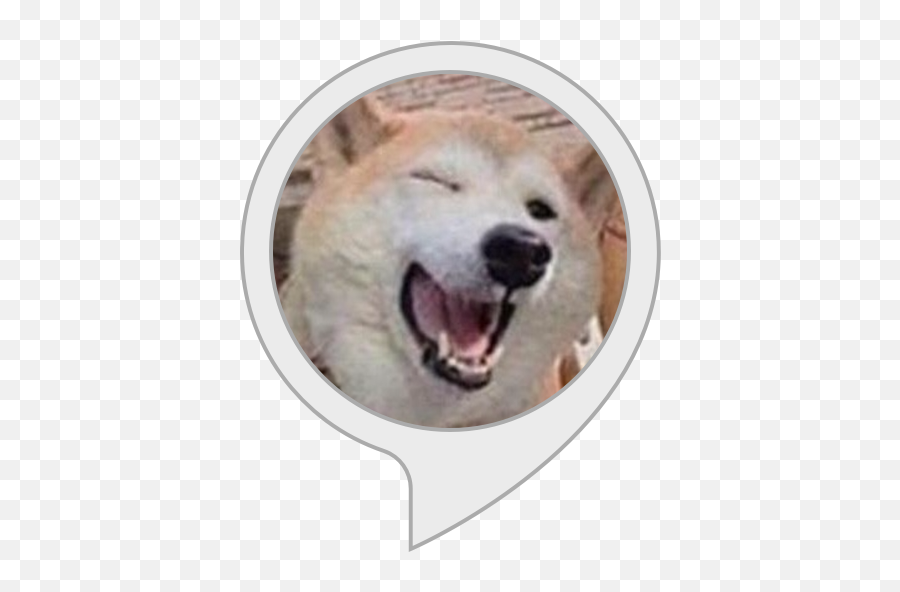 Alexa Skills Emoji,Funny Doge Emojis For Iphone
