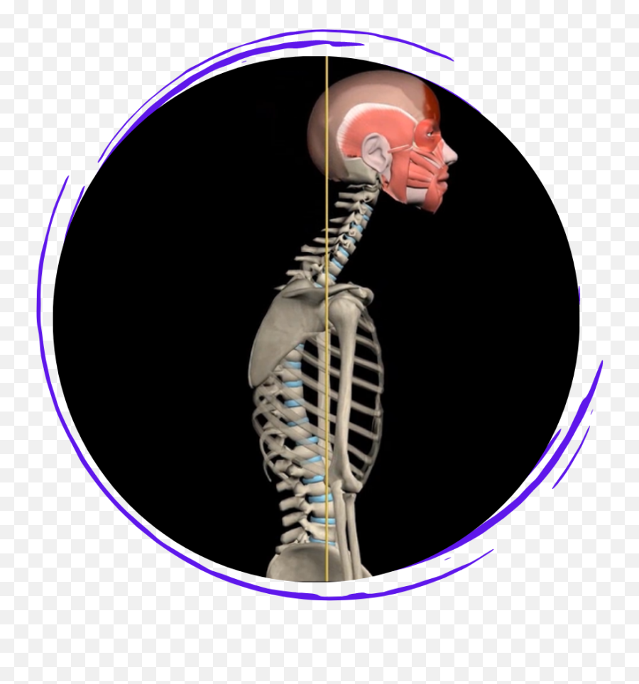 Get An Inside View Of The Anatomy U0026 Biomechanics Of Movement - Kyphosis Muscle Motion Emoji,Emoticon Con Movimiento