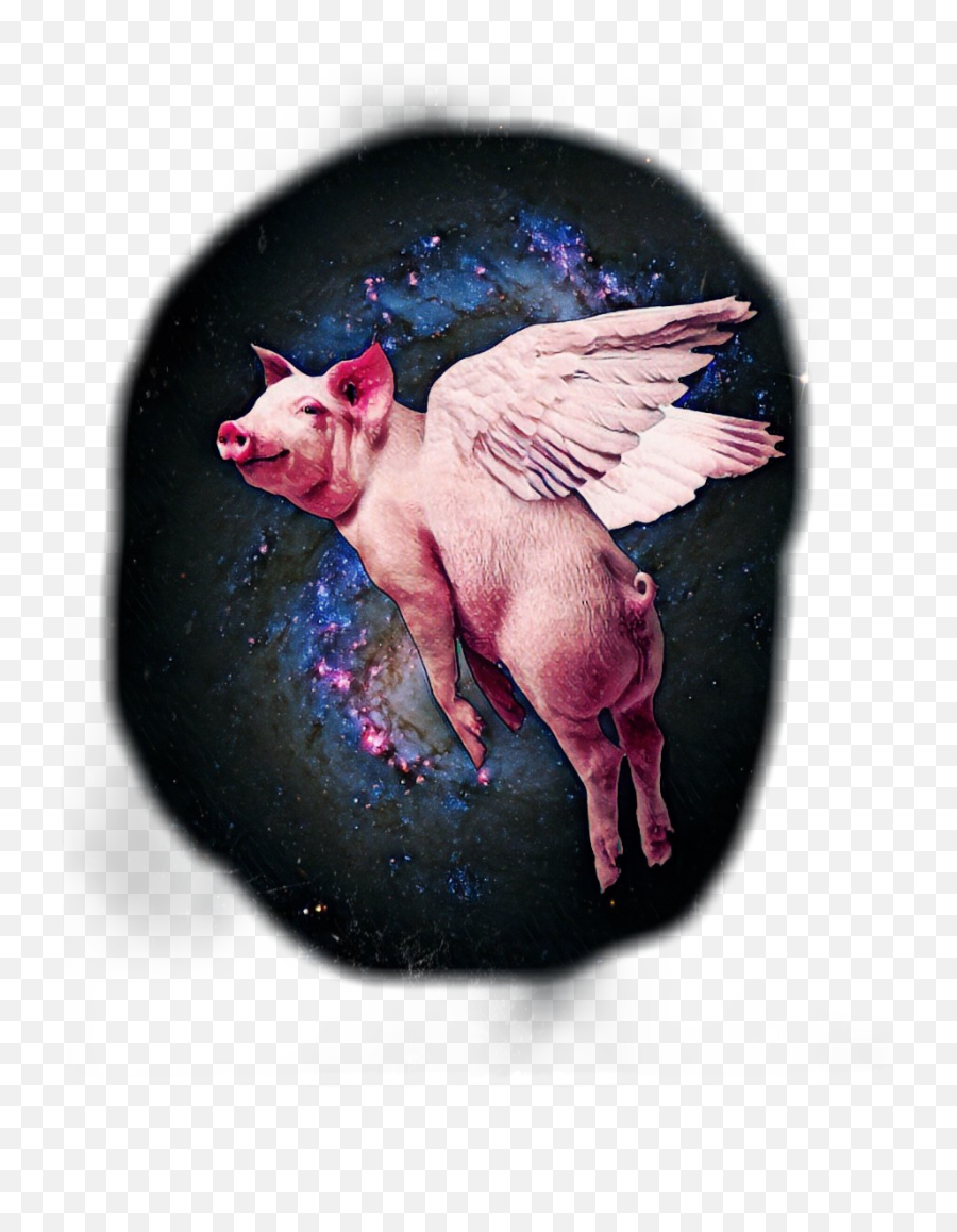 Flyingpig Sticker By Koolgamingwolf - Ngc 6217 Emoji,Flying Pig Emoji