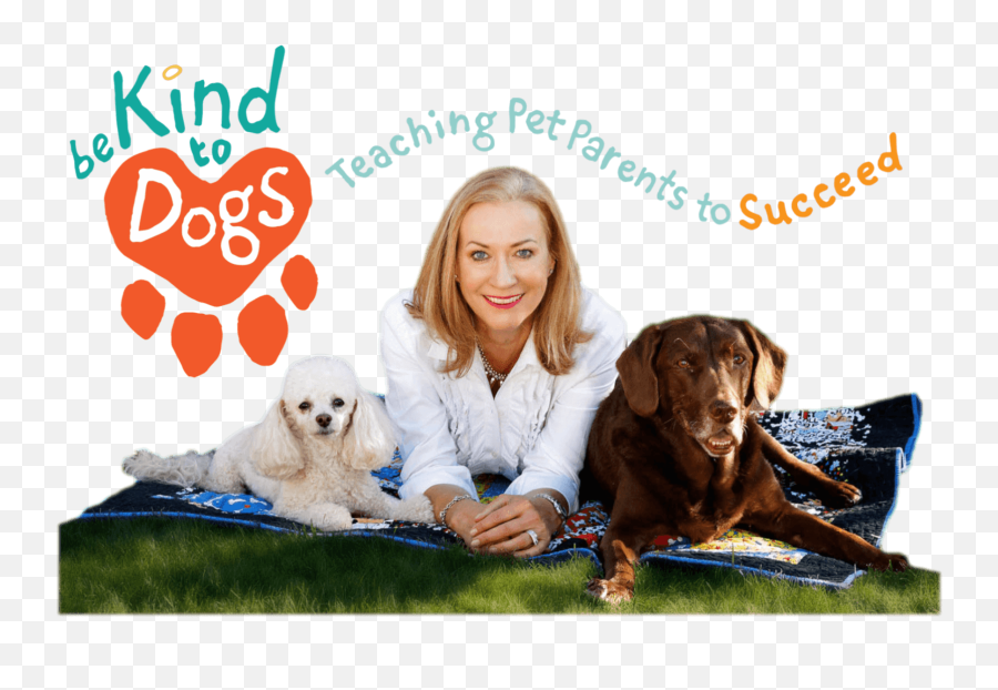 Dog Training In Chandler Az - Happy Emoji,Dogs Emotions