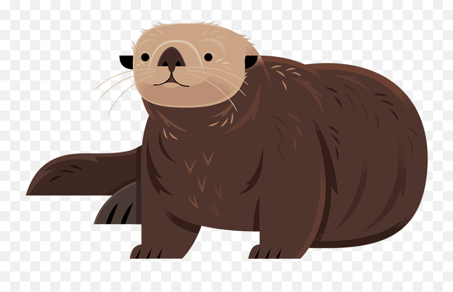 Saving Sea Otters And Protecting Our - Animal Figure Emoji,Emotion Otter Impact