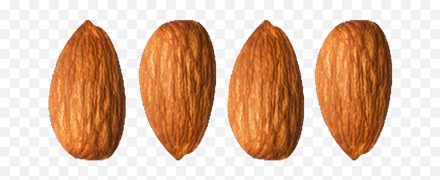 Almonds Pizootz Peanuts Emoji,Bag Of Peanuts Neopets Emoticon