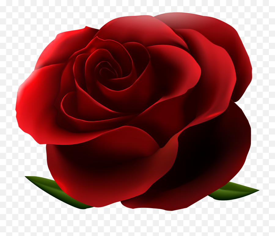 Red Rose Smiley Meaning - Red Rose No Background Emoji,Wilted Rose Emoji