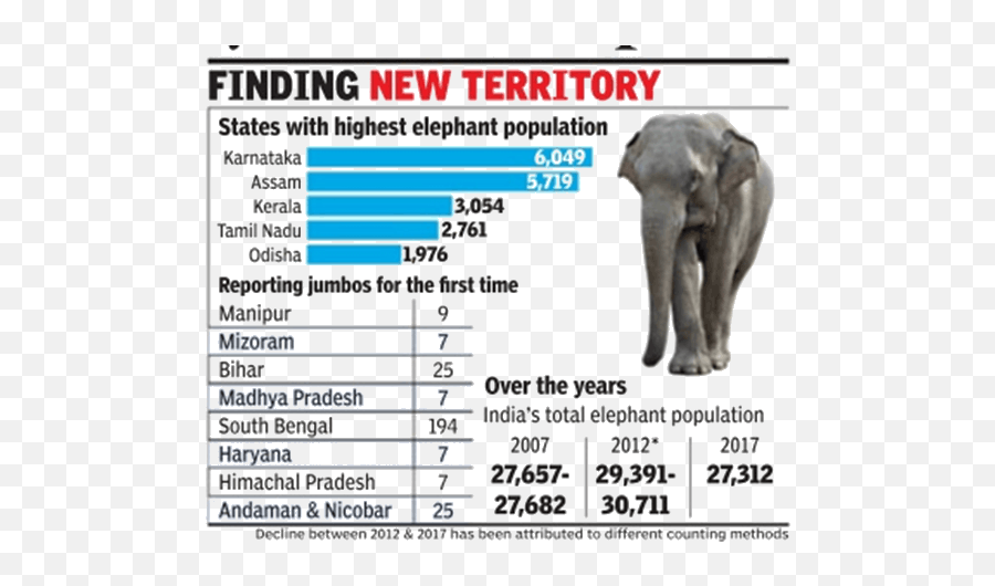 Dte 16 To 31 December The Main Reasons For The Decline In Emoji,Emotions Of Elephants