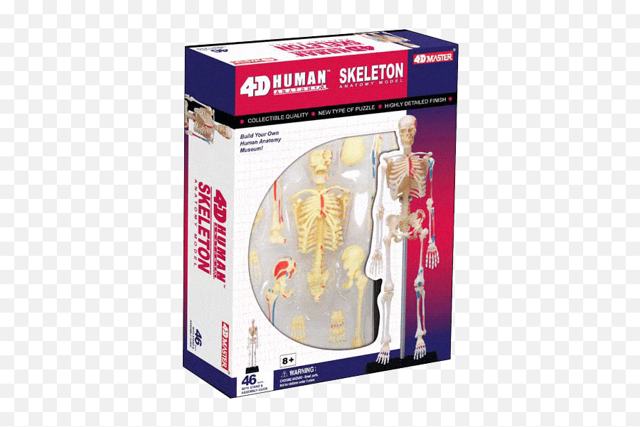 Httpsrighttolearncomsg Daily Httpsrighttolearncomsg - 4d Human Anatomy Squeleton Emoji,Emoji Squishy Blind Box