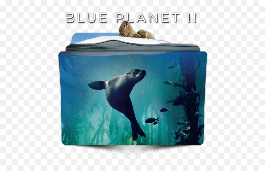 Blue Planet Ii Tv Series Folder Icon - Blue Planet 2 Folder Emoji,Sea Lion Emoji