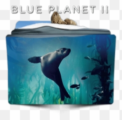 Blue Planet Ii Tv Series Folder Icon - Blue Planet 2 Folder Emoji,Sea Lion Emoji