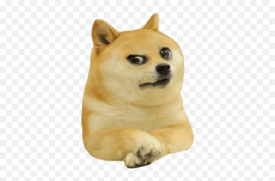 Doge - Baby Doge Png Emoji,Doge Emoji