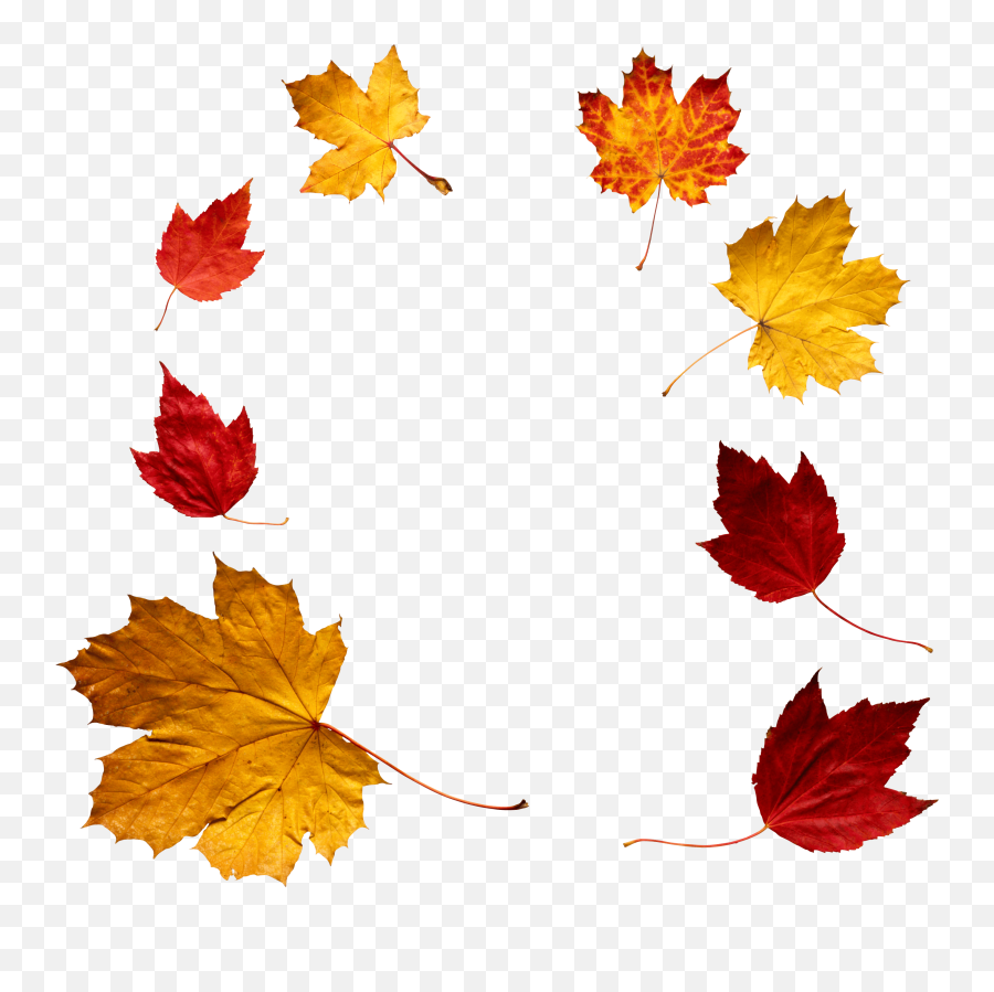 Download Leaf Circle Png - Overlay Falling Leaves Png Clipart Overlay Fall Leaves Png Emoji,Fall Leave Emoji