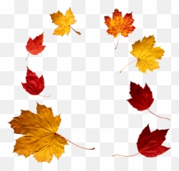 Download Leaf Circle Png - Overlay Falling Leaves Png Clipart Overlay Fall Leaves Png Emoji,Fall Leave Emoji