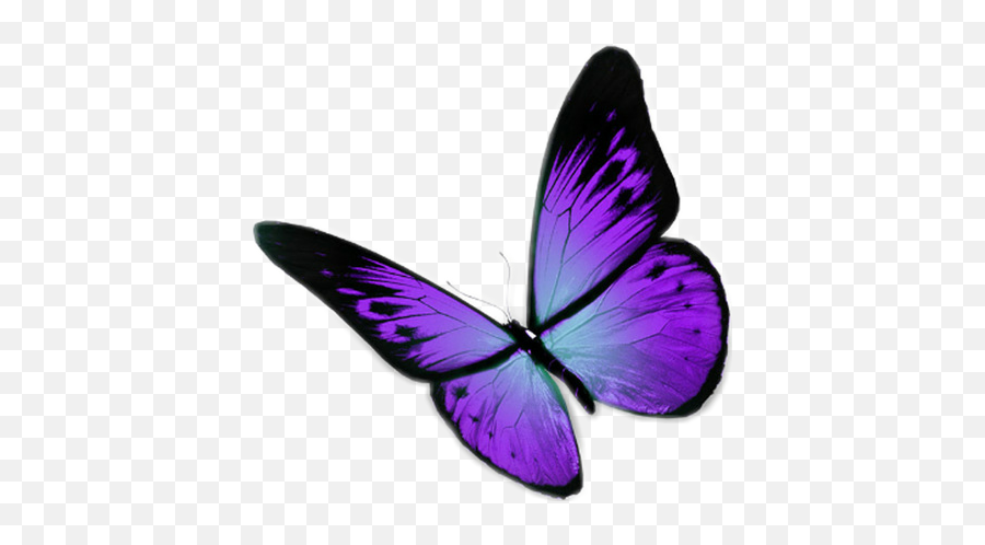 Bereaved Parents - Purple Butterfly Painting Emoji,Emotion Butterflies For Sale