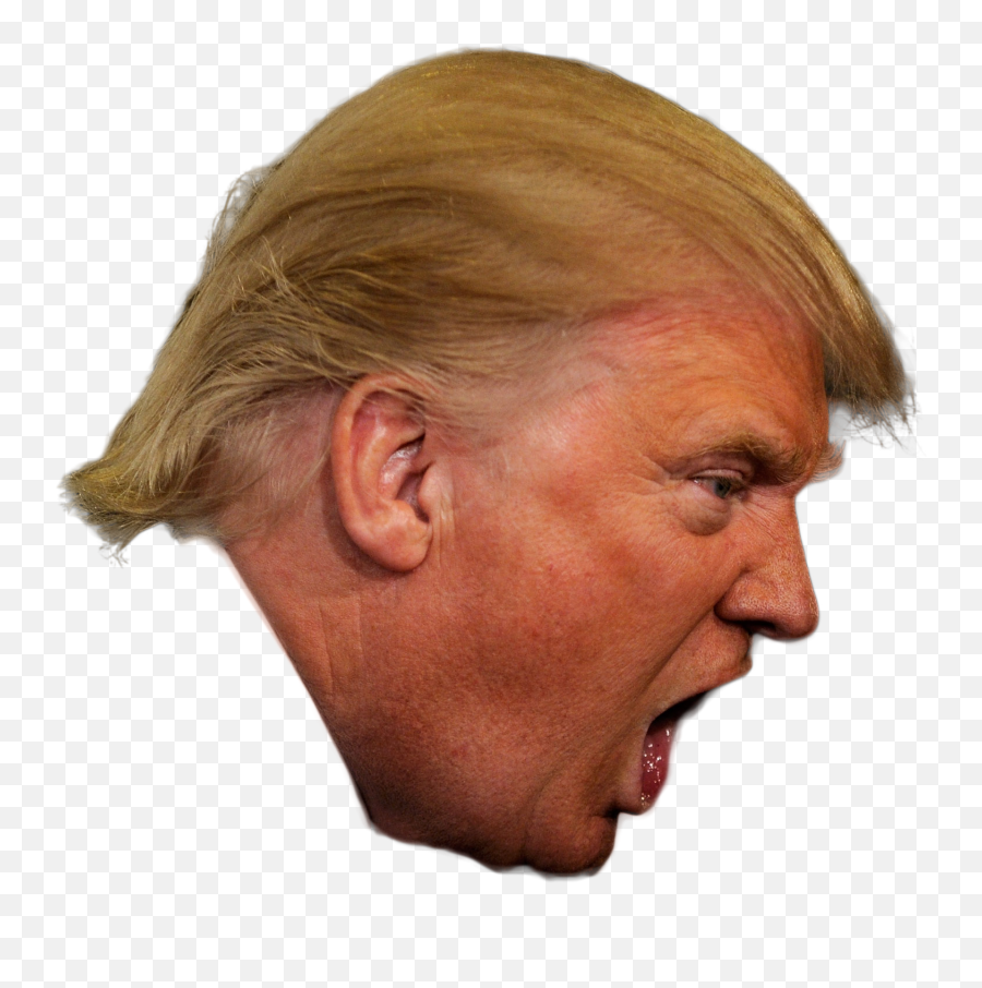 Donald Trump President Of The United States Republican Party - Donald Trump Head Transparent Emoji,Free Trump Emoji