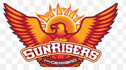 Dc Ipl Logo Png Wallpaper Site - Sunrisers Hyderabad Png Logo Emoji,Cricket Emoji Slack