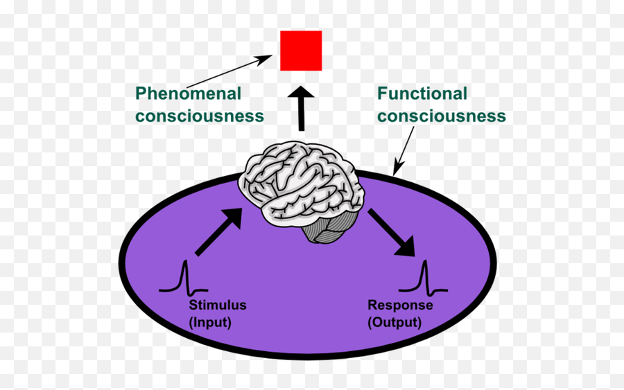 How Can We Solve The Hard Problem Of Consciousness - Quora Hard Problem Of Consciousness Emoji,Rupert Spira Emotion