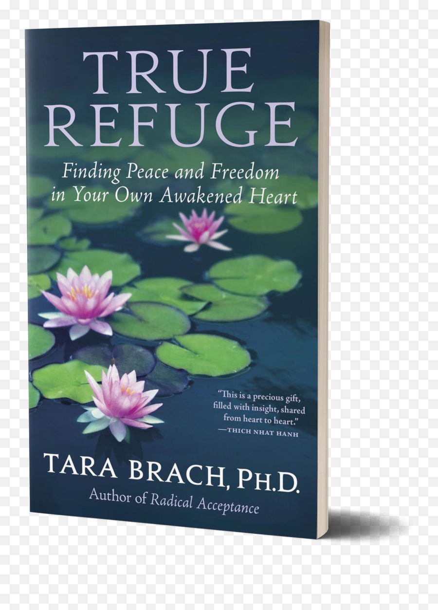 Resources U2014 Deborah Salazar Shapiro Msw - True Refuge Book Cover Emoji,Thich Nhat Hanh - How To Be The Master Of Your Emotions Hd