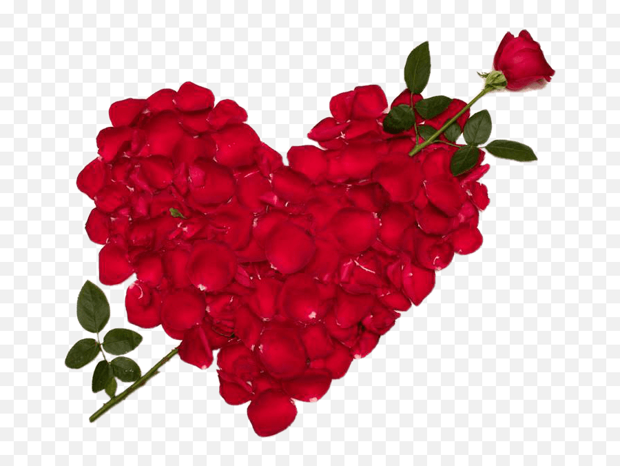 Valentines Day Roses Make Heart - Love Rose Flower Emoji,Flowers Heart Emojis