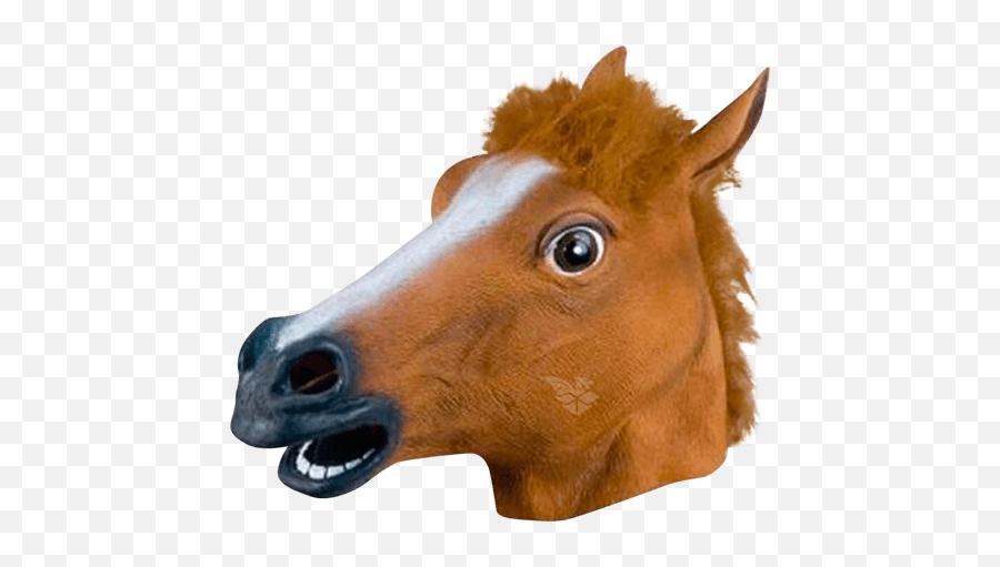 Meme Mystery Box On Drakemall - Get Ricardo Milos Dancing Horse Mask Meme Emoji,Horse Emoji Pillow