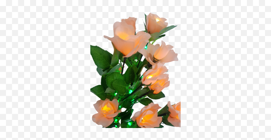 Fast Track Products - More Gifts Emoji,Amber Roses Emojis