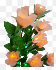 Fast Track Products - More Gifts Emoji,Amber Roses Emojis