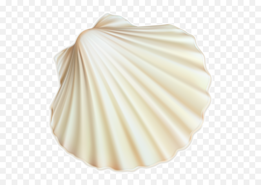 Sticker - White Sea Shells Png Emoji,Scallop Emoji