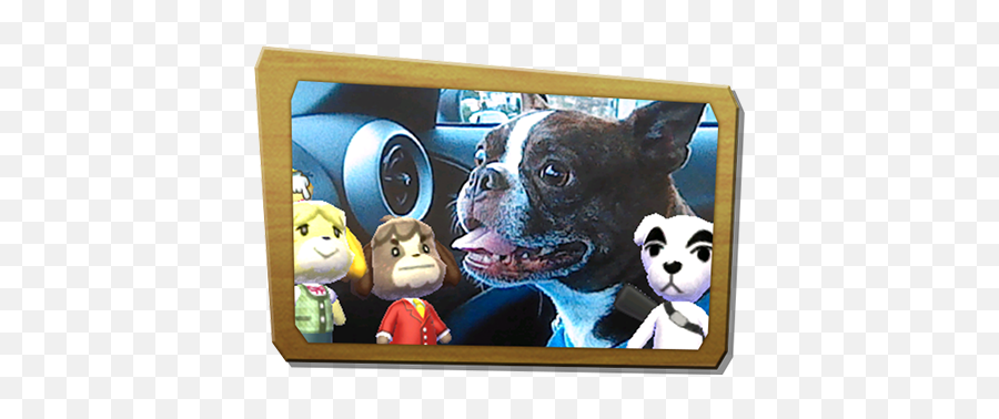 Animal Crossing Nintendo Direct Roundup - Animal Crossing Amiibo Camera Emoji,Animal Crossing New Leaf Emotions